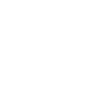 Alpha Secure