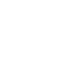 uniao transportes executivos